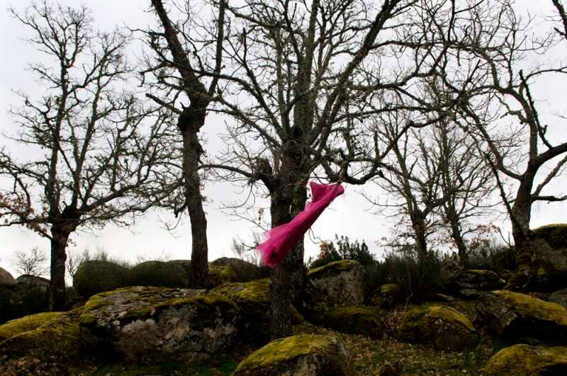 28685192_10156034116640390_1465273911741513728_n