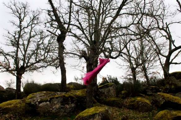 28685192_10156034116640390_1465273911741513728_n